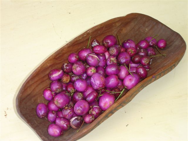 lillypilly